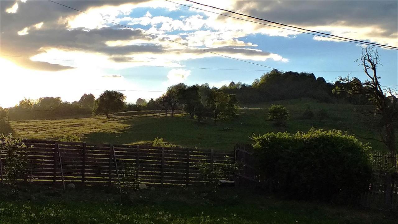 La Livada Vila Valea Danului Exterior foto
