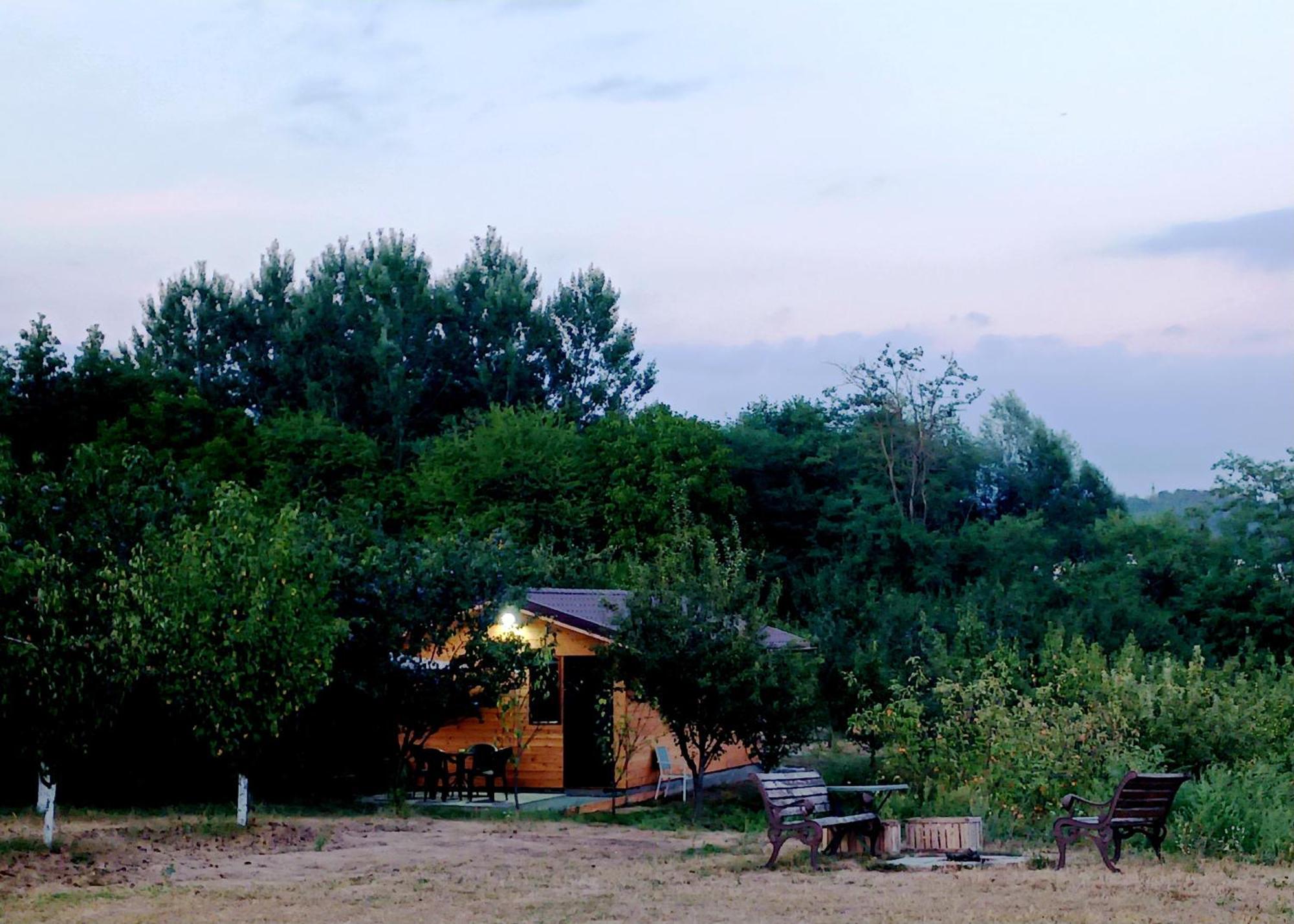 La Livada Vila Valea Danului Exterior foto